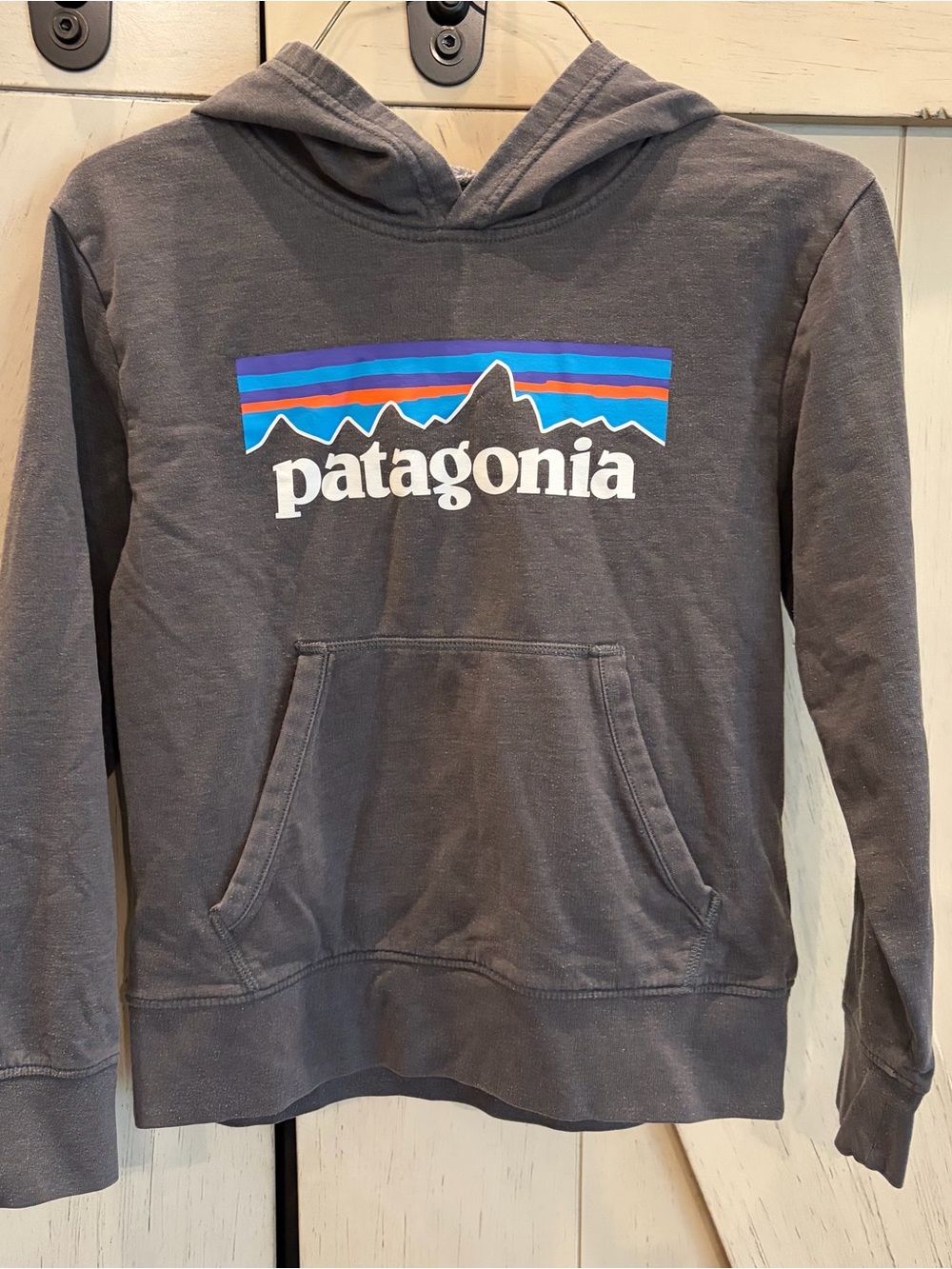 Patagonia Men's Zip-Up Hoodie in Charcoal with Blue Accent Logo